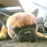 sweet dreams