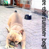 Foto van Roxanne en het bulletje Cupid :D