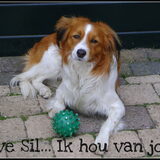 Foto van ×º°”˜`”°º× Jacq van Sil & Sterre ×º°”˜`”°º×