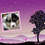 Foto van lisa en snoopy