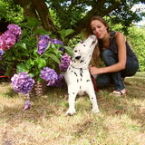 Foto van vipdogpark