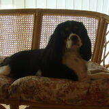 Foto van Kelly en Scylla