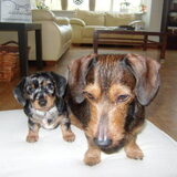 Moena en dr mama