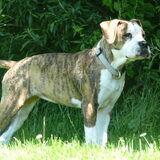 mooierd