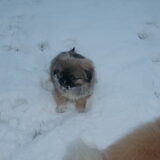 louise in de sneeuw