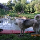Foto van YmY en de bende