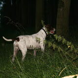 Foto van nin@