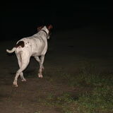 Foto van nin@