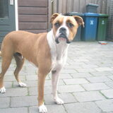 Foto van Angelique