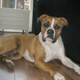 Foto van Angelique