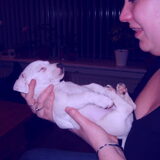 Eeste avondje samen met Hummer!
