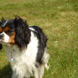 heel veel wind toen we wandelden