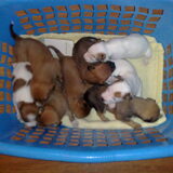 In de 'wasmand' mee voor het eerst slapen in de slaapkamer... 04-01-2009