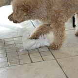 mijn knuffel!!!