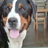 Benno!