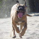 hele leuke foto