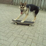 skateeennn!