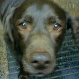 Babs is mijn liefste schat