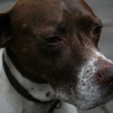 Foto van nin@