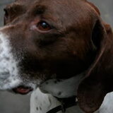 Foto van nin@