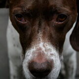 Foto van nin@
