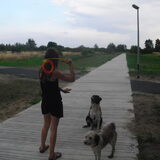 gooi dan.!