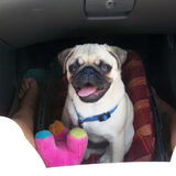 In de auto :)