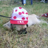 lekker chillen @ Tour de France 2009 xD