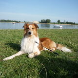 Relaxen op het strand
