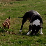 beau met kyra