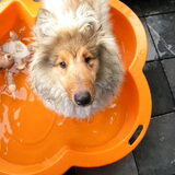 Mijn mooie man! 05 juli 2010.