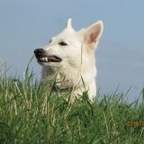 let's talk about......???