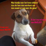 Vond ik gewoon een leuke foto, hij is nou eenmaal heel erg…