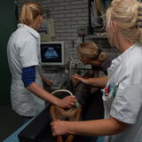 Foto van Veronique, Hugo, Jay-Dee & Mandy