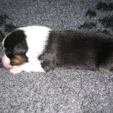May 1 week