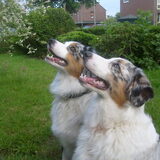 mooi zitten als duo