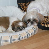 Lizzy en Masha