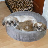 Lizzy en Masha