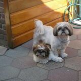 Lizzy en Masha