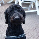 ik word al weer stoerder