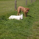 Indra en dr vriendinnetje Sisi