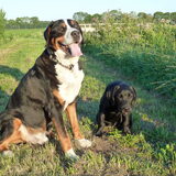 Leermeester Benno en pupil Balou!