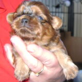 Keiko 2 weken jong