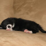 Foto van Kelly (L) Quila (L) Zaza