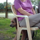 Foto van liesbeth,Turbo,Luna, Levi en Faith