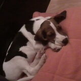 slaap maxie slaap xxx