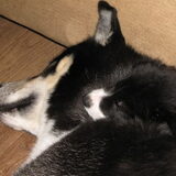 Foto van Kelly (L) Quila (L) Zaza
