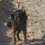 Zomer 2010