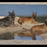 Zomer 2010