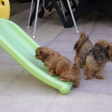 Keiko en zn moeder Misty